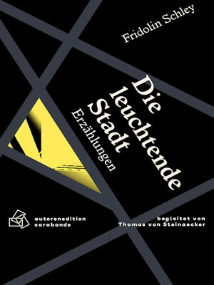 cover image of Die leuchtende Stadt